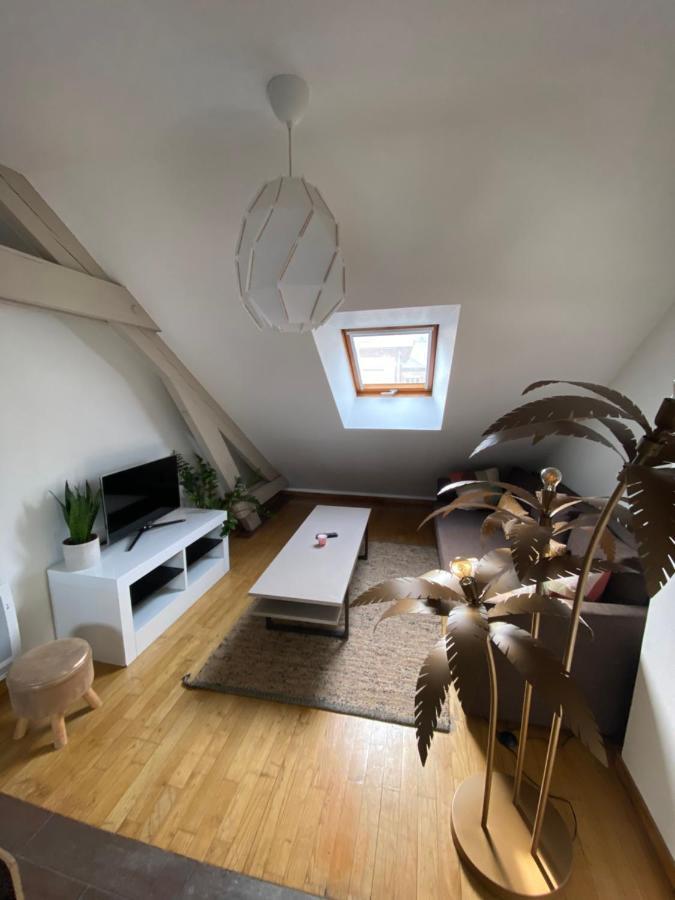 Appartement Hyper Centre Cathedrale Avec Parking Gratuit 아미앵 외부 사진